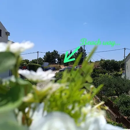 Triva Apartament *